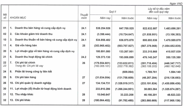 HAGL: Chuyển từ lỗ ngàn tỷ sang có lãi, mảng nuôi heo sau 1 năm đã thu về 94 tỷ lãi gộp trong quý 2 - gấp đôi con số từ cây ăn trái - Ảnh 1.