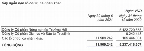 Buông bỏ đứa con nông nghiệp và quyết tâm trả nợ cho HAGL, bầu Đức trong 6 tháng đã giảm được 10.000 tỷ dư nợ vay - Ảnh 3.