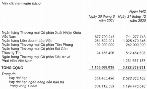 Buông bỏ đứa con nông nghiệp và quyết tâm trả nợ cho HAGL, bầu Đức trong 6 tháng đã giảm được 10.000 tỷ dư nợ vay - Ảnh 2.