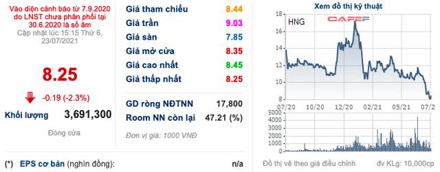 Thị giá giảm mạnh cùng việc không nhận được giấy tờ đất, Thaco dừng việc mua thêm cổ phiếu HAGL Agrico (HNG) - Ảnh 1.