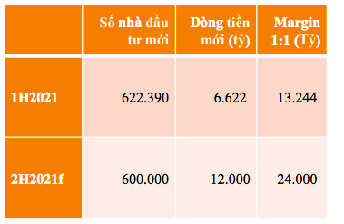 Dự phóng dòng tiền nhà đầu tư mới đổ vào thị trường chứng khoán.