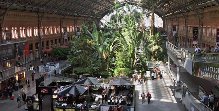 Nhà ga Atocha (Madrid, Tây Ban Nha) - Nguồn ảnh: Interesting Engineering.