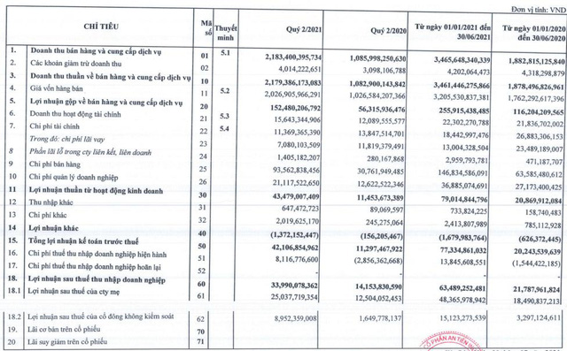 An Tiến Industries (HII) báo lãi nửa đầu năm gấp 3 lần cùng kỳ, hoàn thành 91% kế hoạch cả năm - Ảnh 1.