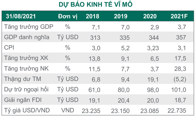 Dragon Capital: “Dư nợ margin trở lại đỉnh lịch sử, cổ phiếu trụ sẽ hút tiền khi tiêm chủng được đẩy nhanh và nới lỏng giãn cách” - Ảnh 2.