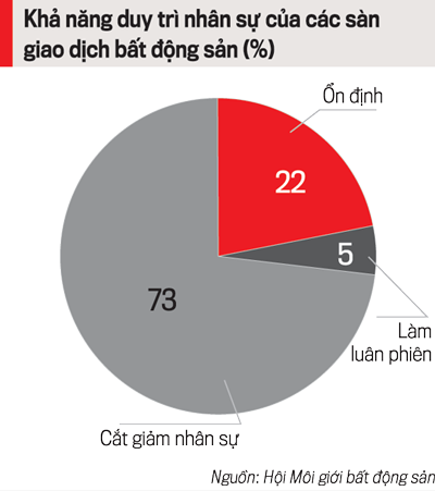 Doanh nghiệp môi giới bất động sản: Bên bờ phá sản  - Ảnh 2