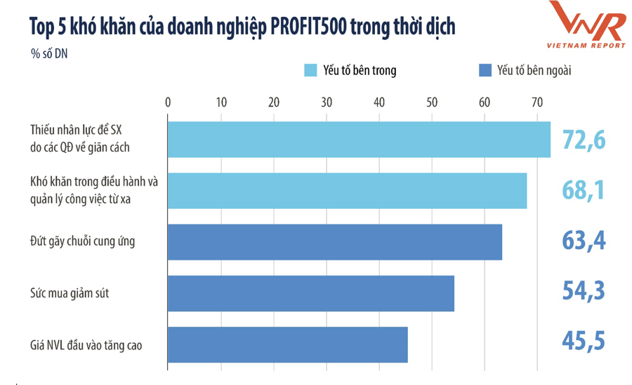 Doanh nghiệp lớn vẫn phải đối mặt với nhiều khó khăn - Ảnh 1